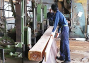イメージ：県内製材業の未来を担う