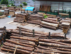 写真：篠原木材 在庫